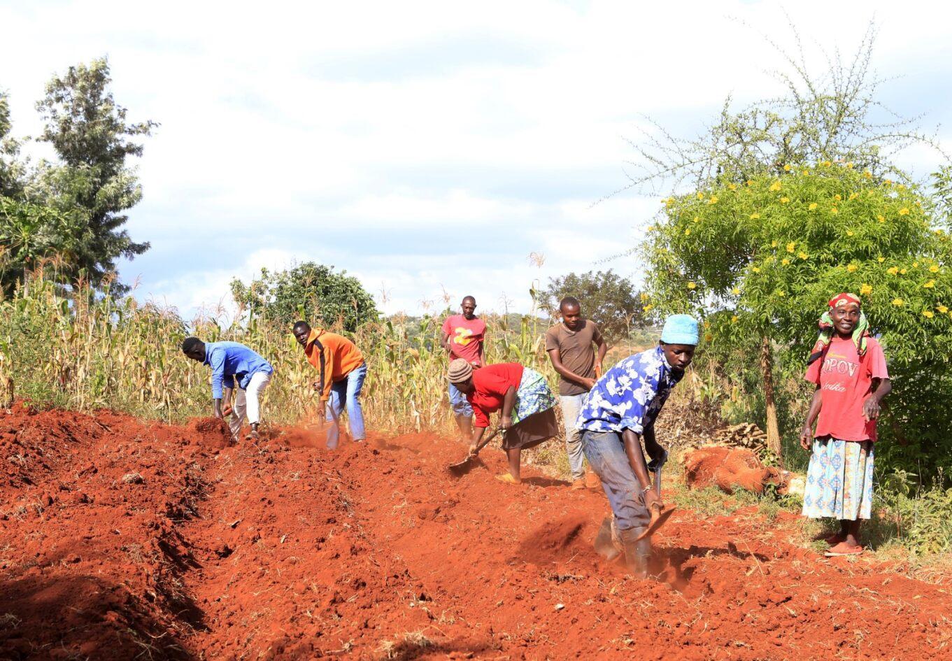 Food forests are connecting vulnerable consumers and organic farmers in Kenya - Image 4