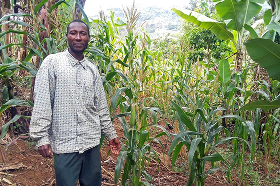 Tailor-made CSA: adapting best-bet practices for East African smallholders