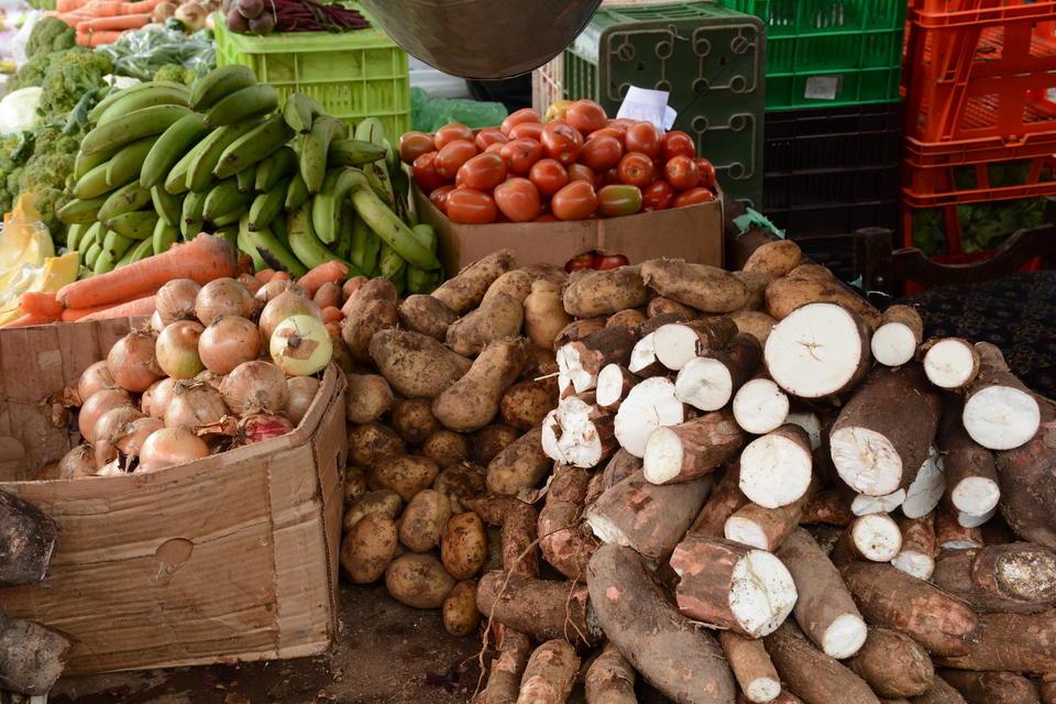 Know Your Food: Tools to revolutionize food composition and why this matters for people and the planet - Alliance Bioversity International - CIAT