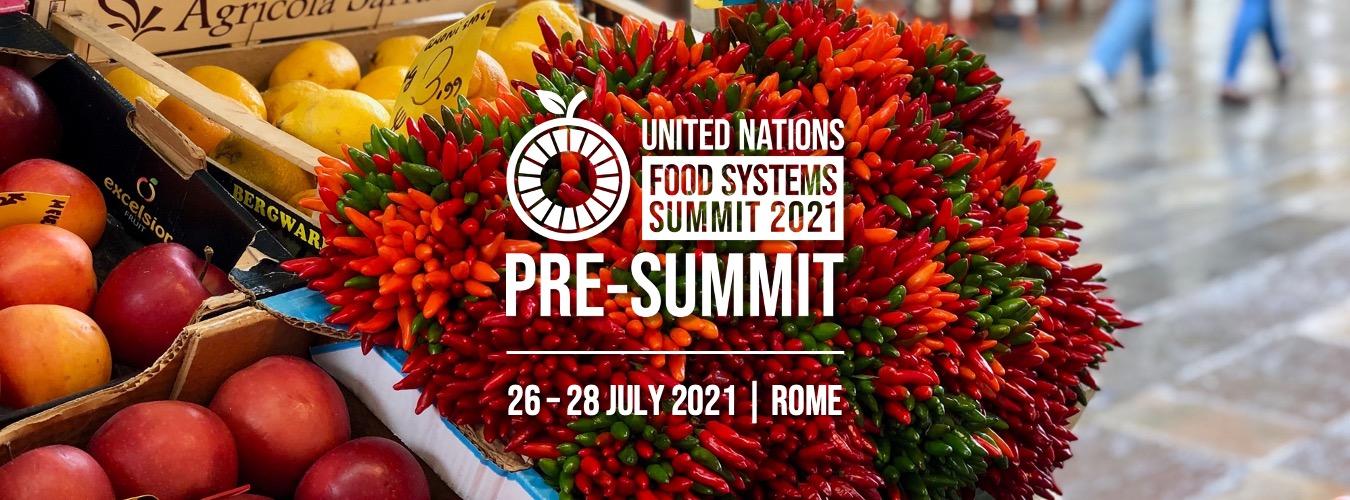 UNFSS Pre-Summit