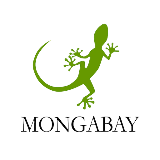 mongabay usa