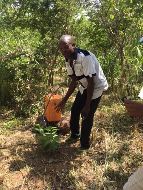  Mr Kaboré's low technology drip irrigation system. Credit: Bioversity International/M. Elias