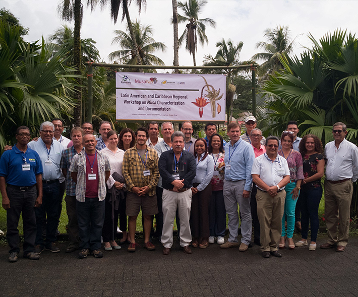 Participants in the MusaNet Regional Workshop on Musa Characterization and Documentation. Credit: Bioversity International/M.Ruas