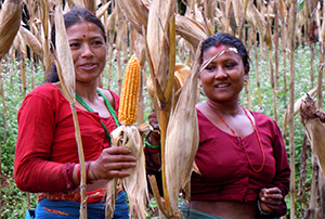 Women and agricultural biodiversity. Credit: S. Rasaily