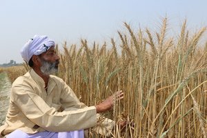 Horel Singh, farmer from Rajapakar, Vaishali, Bihar. Credit: Bioversity International/S. Dsouza
