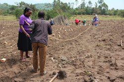 Joy demonstrating best method for bean planting. Credit: Bioversity International/J.Turyatemba