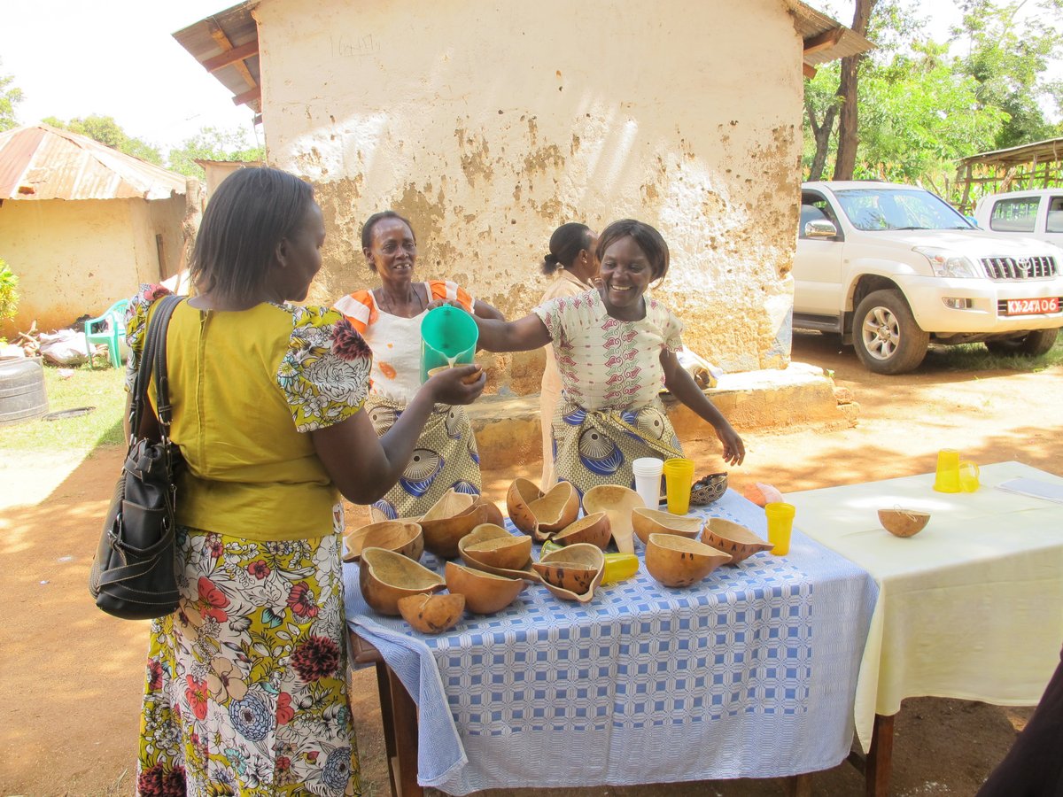 The ladies of the Kyanika Adult Women Group used the proceeds from the sale of gourds to purchase a plot of land on which they plant to put up a shop to grow our gourd and seed business. Credit: Bioversity International/P.Sands