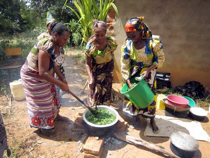 Vegetables such as traditional leafy vegetables are a fast-moving and basic commodity, hence a good source of income in addition to nourishing the group's households. Credit: Bioversity International/F.Mattei