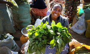 Traditional African leafy vegetables for sale at a market in Kenya. Credit: Bioversity International/Y.Morimoto