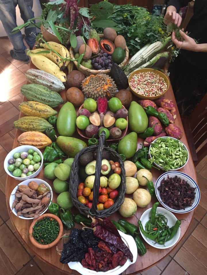 Local agrobiodiversity in Guatemala. Credit: Bioversity International/R. Robitaille
