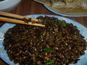 Local food dish of insects. Credit: Bioversity International/J. Raneri