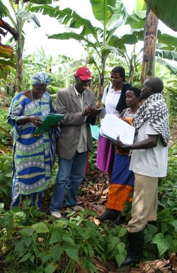 Researchers and farmers standing among bean mixtures and bananas to evaluate pest and disease damage, Uganda. Credit: Bioversity International/P.de Santis