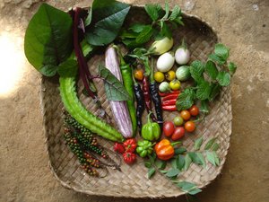 Vegetables from Nepal. Credit: LI-BIRD\A.Subedi
