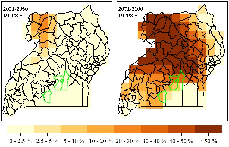 Frequency of severe heat stress events for dairy cattle in Uganda by 2021-2050 and 2071-2100 periods under RCP 8.5 scenario
