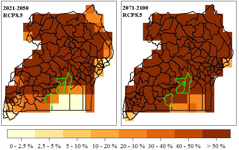 Figure 1: Frequency of severe heat stress events for pig in Uganda by 2021-2050 and 2071-2100 periods under RCP 8.5 scenario
