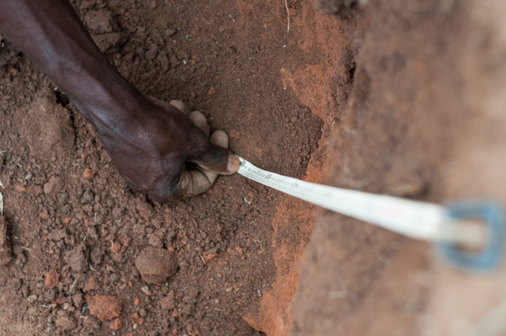 We need to be realistic about how much carbon we can store in the soil. Credit: G.Smith / CIAT 