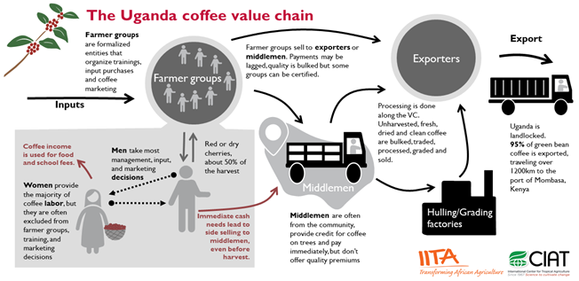 Organizational development is key to unlock incentives for sustainable coffee production in Uganda