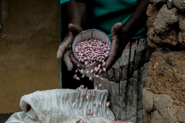 Beans are a great source of nutrition for low-income households. 
