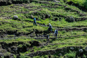 As a community, farmers in Ethiopia are preventing soil erosion. Credit Georgina Smith/CIAT 