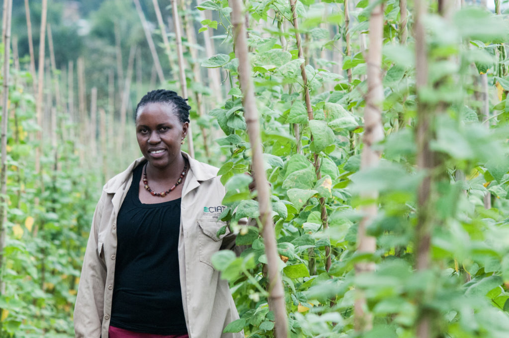 Dr. Clare Mukankusi, the Pan-Africa Bean Research Alliance’s (PABRA) breeder based at Uganda’s National Agricultural Research Organization.