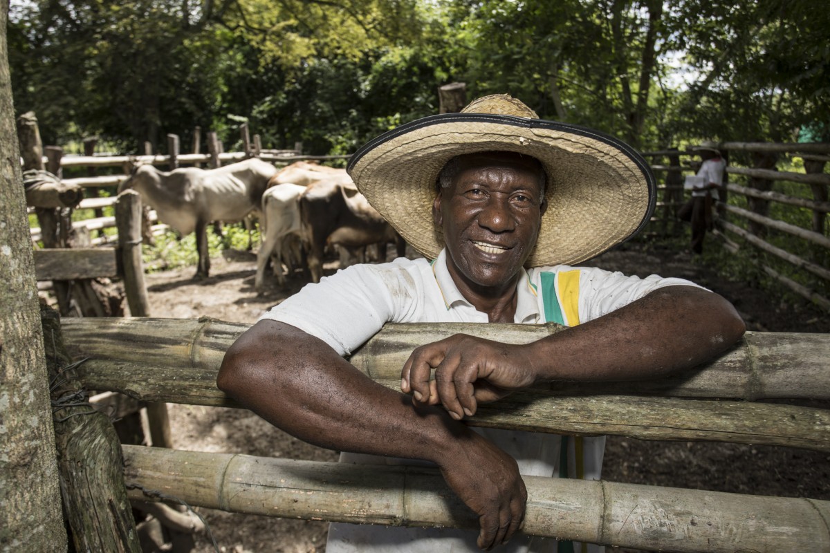 Un ganadero en Patía, Cauca, en la región suroeste de Colombia, donde 200 productores se han beneficiado del trabajo realizado por el equipo de Forrajes Tropicales del CIAT, la Universidad del Cauca y el Gobierno del Cauca. Foto: N. Palmer/CIAT