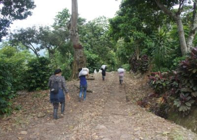 Producers carrying harvested coffee in Nicaragua