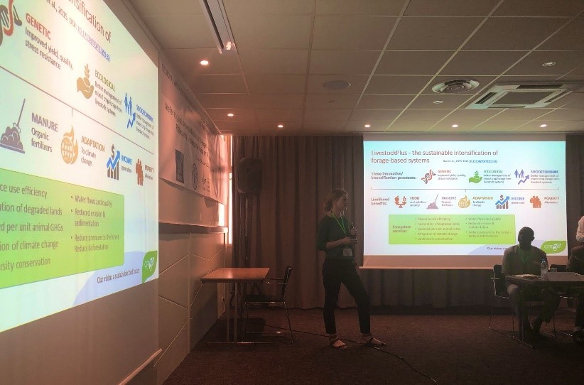 Birthe Paul from CIAT Africa presents on activities related to improved forages, forage management and feed availability for low emissions livestock systems.