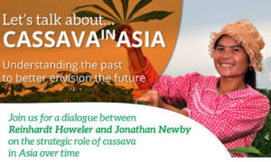 cassava_dialogue1