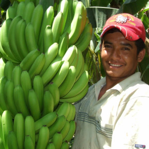 grupo-huatalco-banana