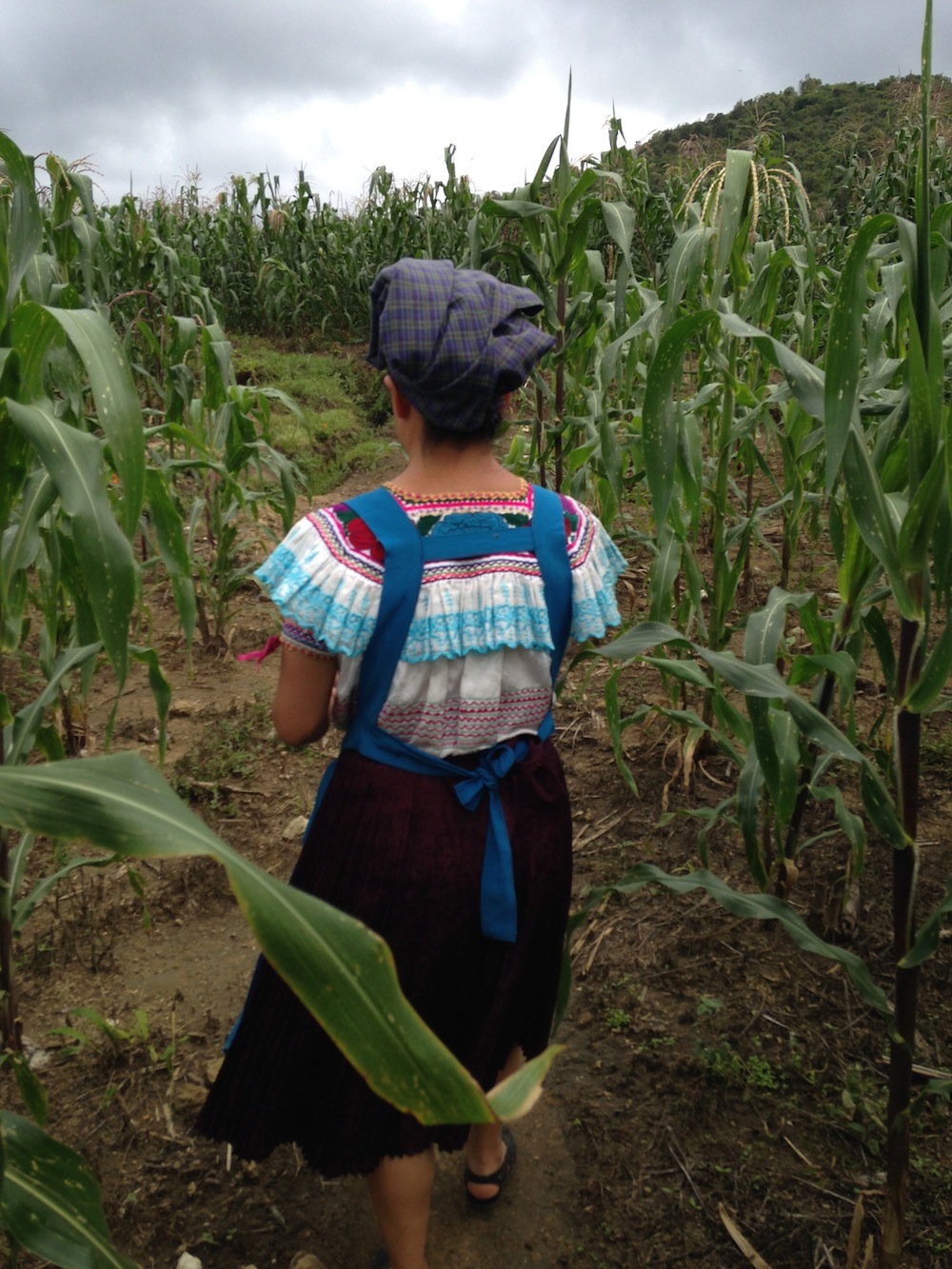 A member of Mujeres y Maiz Criollo in her fields in Amatenango, Chiapas