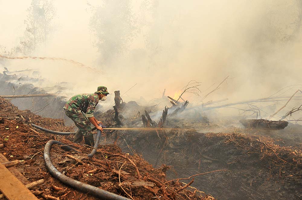 The burning of peatlands is widespread in parts of SE Asia