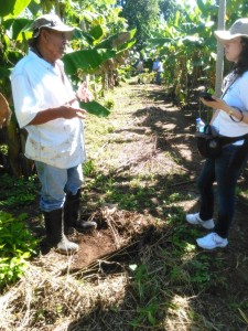 Farmer speaks to CIAT scientist about soil cover benefits in her cacao-banana plantation