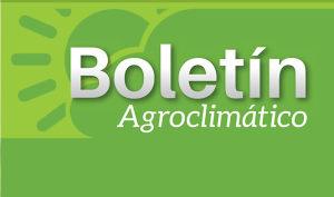 boletin-300x177