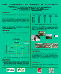 Cassava propagation by small scale farmers using a low cost in vitro ...