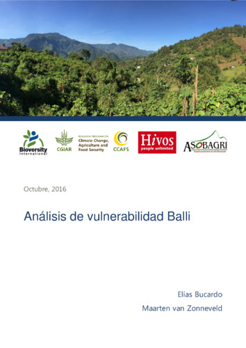 Análisis de vulnerabilidad Balli