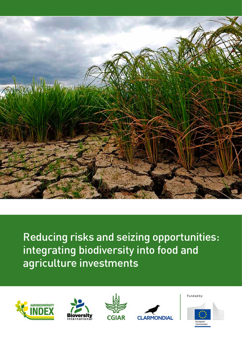 Reducing risks and seizing opportunities: integrating biodiversity into food and agriculture investments