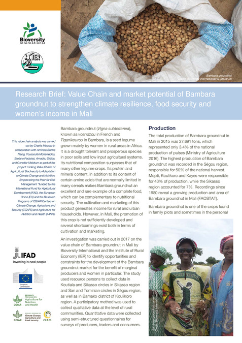 Research Brief: Value chain and market potential of Bambara groundnut to strengthen climate resilience, food security and women&rsquo;s income in Mali