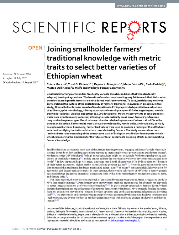 Joining smallholder farmers&rsquo; traditional knowledge with metric traits to select better varieties of Ethiopian wheat