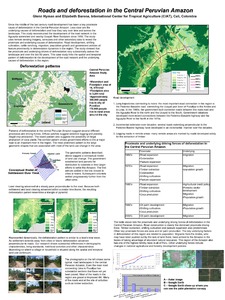 Roads and deforestation in the Central Peruvian Amazon