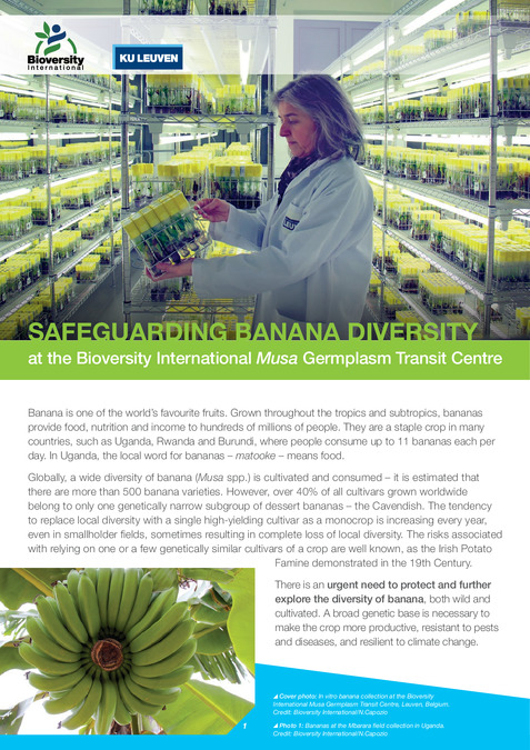 Safeguarding banana diversity at the Bioversity International Musa Germplasm Transit Centre