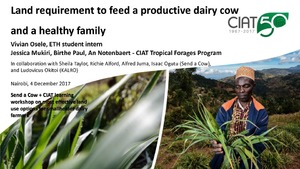 Land requirement to feed a productive dairy cow and a healthy family