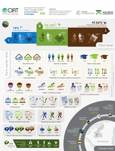 Measuring and assessing impacts of Fair Trade USA on farm workers in Nicaragua