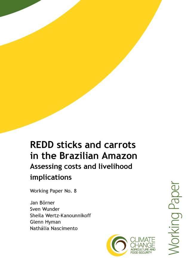 REDD sticks and carrots in the Brazilian Amazon: assessing costs and livelihood implications