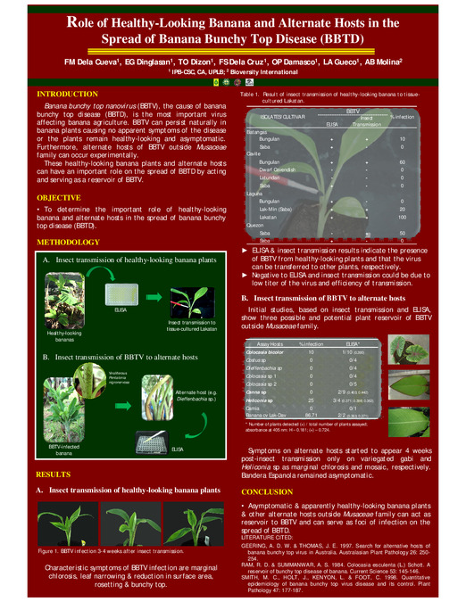 Role of healthy-looking banana and alternate hosts in the spread of banana bunchy top disease