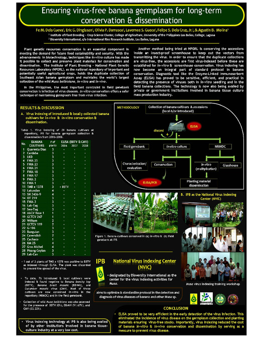 Ensuring virus-free banana germplasm for long-term conservation and dissemination