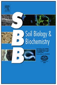 Pasture degradation impacts soil phosphorus storage via changes to aggregate-associated soil organic matter in highly weathered tropical soils