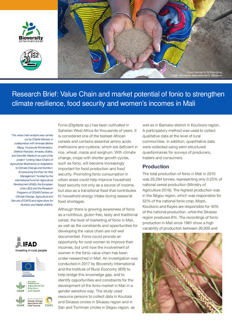 Research Brief: Value chain and market potential of fonio to strengthen climate resilience, food security and women&rsquo;s incomes in Mali