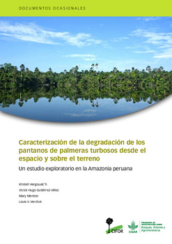 Caracterizaci&oacute;n de la degradaci&oacute;n de los pantanos de palmeras turbosos desde el espacio y sobre el terreno: Un estudio exploratorio en la Amazonia peruana