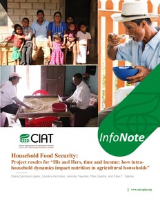 Household Food Security: Project results for “His and Hers, time and income: how intra-household dynamics impact nutrition in agricultural households”