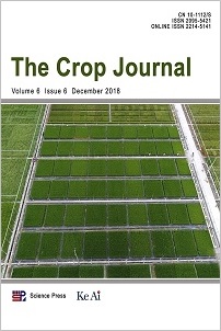 Diversity and interaction of common bacterial blight disease-causing bacteria (Xanthomonas spp.) with Phaseolus vulgaris L.